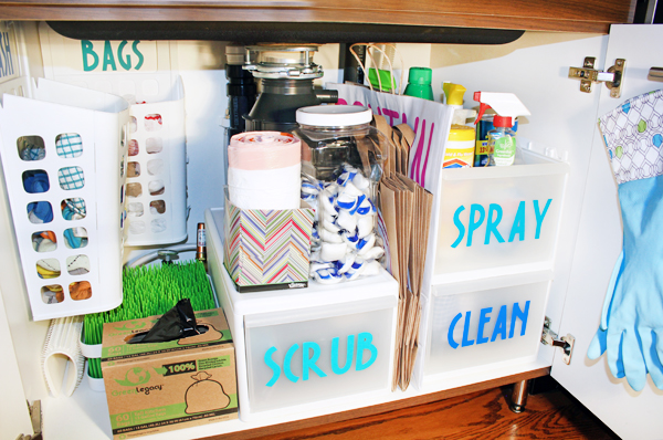 HOW I ORGANIZED UNDER MY KITCHEN SINK - Decorate with Tip and More
