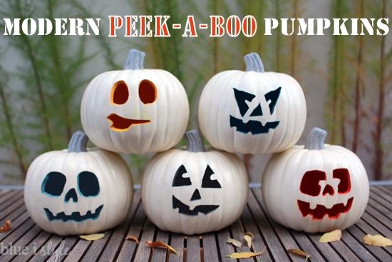 Modern Colorful Peek A Boo Pumpkins