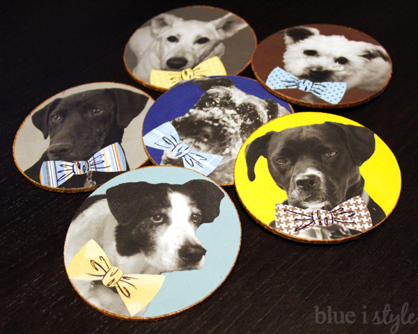 debonair menswear dog coasters craft project