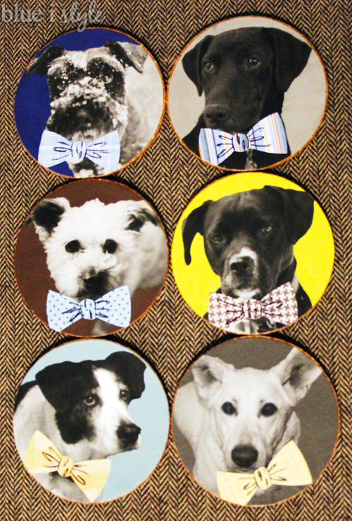 easy diy dog in bow tie coasters