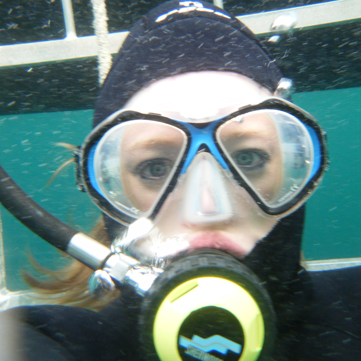What It's Like to Cage Dive With Great White Sharks - Blue i Style