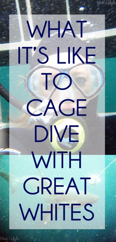 What It's Like to Cage Dive with Great White Sharks