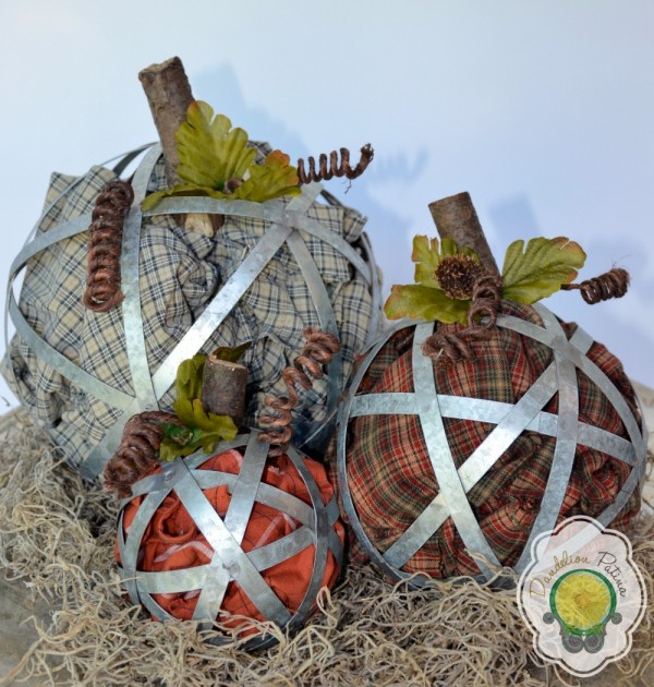 industrial-pumpkins-with-spanish-moss