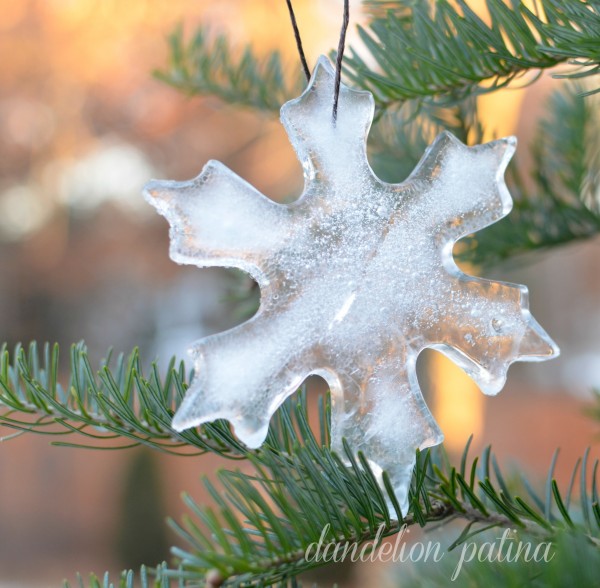 winter-is-for-the-birds-ice-snowflake