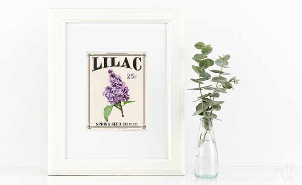 Free-Printable-Vintage-Seed-Packet-Art-2