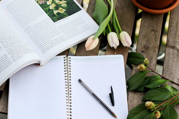 Some+important+things+to+consider+for+garden+planning+from+Pretty+Lovely+Studios+-+boxwoodavenue