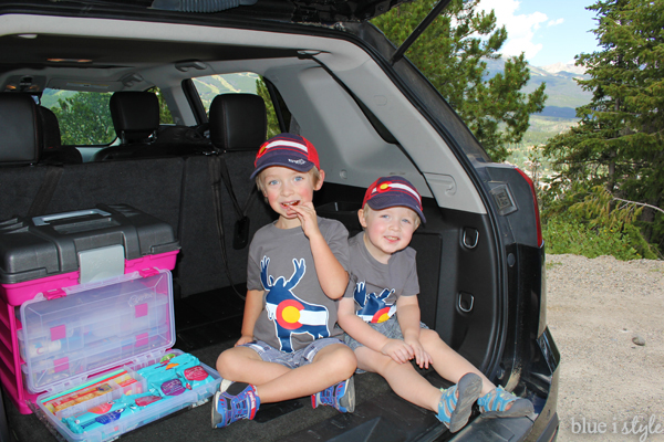 Organized Car Kit for Families On the Go - Blue i Style