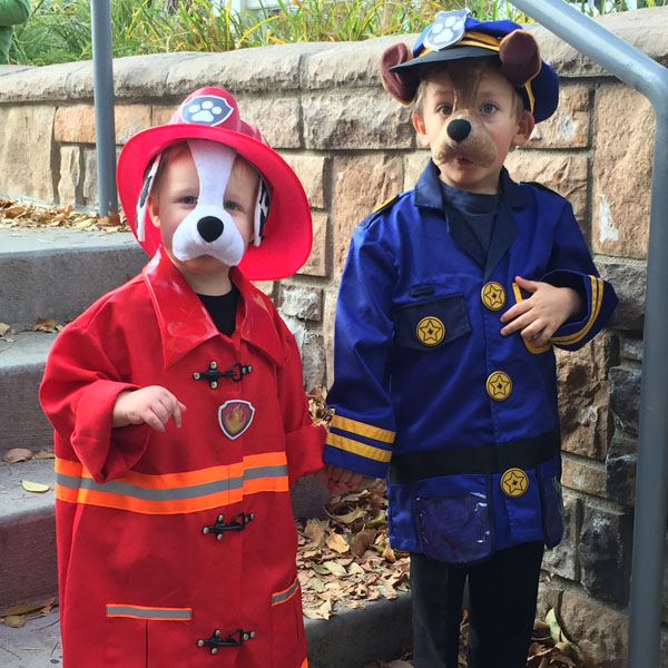 Paw Patrol Costumes in Halloween Costumes 