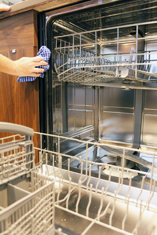 Wipe down dishwasher seal