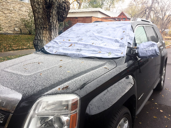 FrostGuard on wind shield