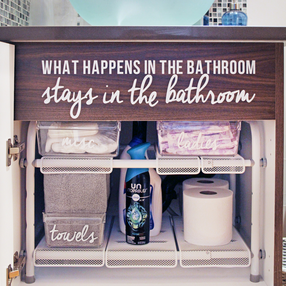 https://www.blueistyleblog.com/wp-content/uploads/2020/03/How-to-Organize-Under-Your-Bathroom-Sink.jpg