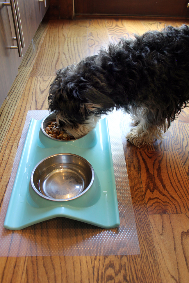 non-adhesive clear shelf liner under dog bowls